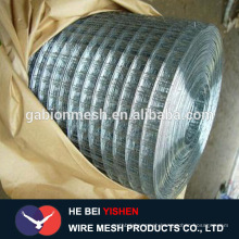 Best selling! electro galvanized welded wire mesh direct factory